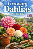 Growing Dahlias in the UK