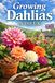 Growing Dahlias in the UK