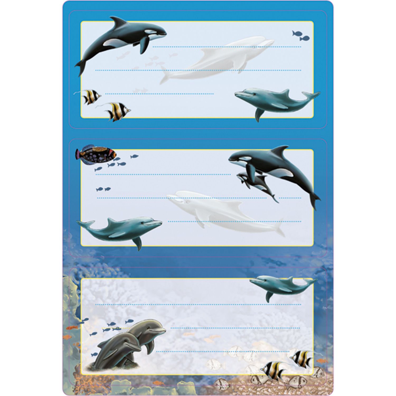 HERMA 5579 - Etiketten - Rechthoek - Papier - Multi
