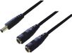 BKL Electronic DC-verdeler Laagspanningsstekker - DC-koppeling 5.5 mm 2.1 mm 0.30 m 1 stuk(s) Single