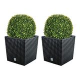 WellHome Dubbelpak bloempot Rato 32 liter met plantenbak in antraciet 32 x 32 x 32,5 cm + buxusbal Ø 27 cm