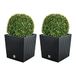 WellHome Dubbelpak bloempot Rato 32 liter met plantenbak in antraciet 32 x 32 x 32,5 cm + buxusbal Ø 27 cm