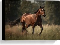 Merkloos / Sans marque Canvas - Bruin Paard met Witte Bles Lopend door Weiland met Hoog Gras - 40x30 cm Foto op Canvas Schilderij