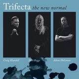 The Snapper (Eur) Music Ltd. The New Normal
