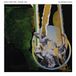 Sonic Rendezvous Thank You Much Better Glorious Days (LP)
