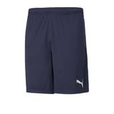 Puma TeamRISE Training Shorts - Heren - Maat XXL - Donkerblauw