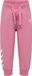 Hummel Hmlmini Reg Logo Pants 232305 Kinderjoggingbroek Polignac