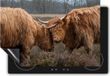 Chefcare Inductie Beschermer Twee Schotse Hooglanders - 95x55 cm