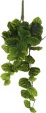 Mika Decorations Kunstplant - Hangplant - Peperomia - Groen