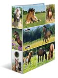 HERMA 10 stuks ordners dierenwerelden met paardenweidemotief rug 70 mm