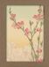 Smithsonian Cherry Blossom Notecard Set