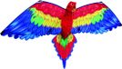Gunther Bbizz Adventure In Sports B.V. 3D papegaai vlieger - Ara - rood - 144 x 80 cm