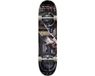 Zoo York Boom Box 7.75 Skateboard Complete - Multi Color