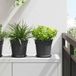 Maison Exclusive - Pot de fleur, 24 pièces, noir, plastique