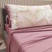 PETTI Artigiani Italiani - Katoenen beddengoed met kussenslopen met digitale print, eenpersoonsbed, beddengoedset voor eenpersoonsbed, poeder, 100% Made in Italy