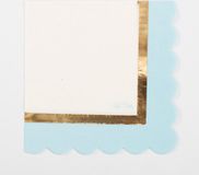 Givi Italia Feestservetten - 16x - baby shower - blauw - 3 laags - 33 x 33 cm