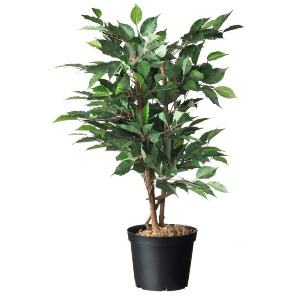 Nature Container zwart 3l H15cmx dia. 19cm set a 4 stuks