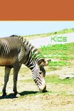 Kids wildlife colouring book