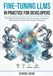 Fine-Tuning LLMs in Practice for Developers