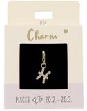 Depesche - Hanger "Express yourself" - design 054 - Pisces