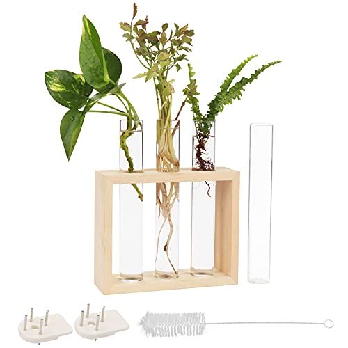 BELLE VOUS Muur Hang Glazen Testbuis Planten Vaas – 4 Bloemen Buisjes (1 Reserve) met Houten Standaard – Tafeltop Terrarium Modern Station voor Planten, Huis, Plant Groei, Flora & Decoratie
