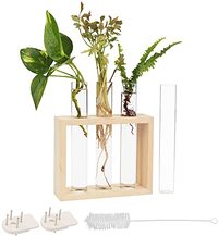 BELLE VOUS Muur Hang Glazen Testbuis Planten Vaas – 4 Bloemen Buisjes (1 Reserve) met Houten Standaard – Tafeltop Terrarium Modern Station voor Planten, Huis, Plant Groei, Flora & Decoratie