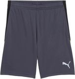 Puma Liga Korte Broek Grijs S