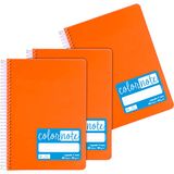 Grafoplás 98533252 notitieboeken, A5, gelinieerd, polypropyleen, oranje, FSC-gecertificeerd, serie Color Note