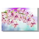 Homemania Muurfoto, bloemen, natuur, voor woonkamer, slaapkamer, meerkleurig, 45 x 3 x 70 cm, HM20KNV45 x 70 – 209, polyester, hout