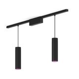 Philips Hue Philips Perifo Basisset Voor Recht Plafond (2 Hanglampen)