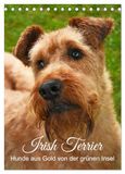 Irish Calvendo Irish Terrier - Hunde aus Gold von der grünen Insel (Tischkalender 2027 DIN A5 hoch), CALVENDO Monatskalender