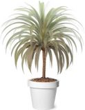 Mega Collections Plantenpot/bloempot - Kunststof - Wit - Buiten - D30 x H27 cm