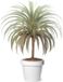 Mega Collections Plantenpot/bloempot - Kunststof - Wit - Buiten - D30 x H27 cm