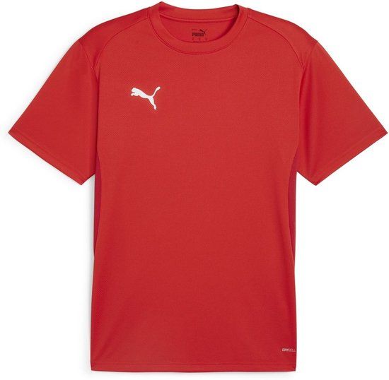 Puma Teamgoal Jersey 658636 Heren T-shirt 3XL