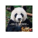 Legami - Wandkalender 2025, grote wandkalender 30 x 29 cm, 12 maanden en jaarplanner, ruimte voor notities en notities, 6 talen, sterrenbeelden en internationale feestdagen, panda