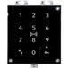 2N IP Verso - Touch keypad & Bluetooth & RFID reader 125kHz
