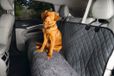 Dog Gone Smart Dirty Dog Autodeken Grijs 136 x 148 cm - Hond