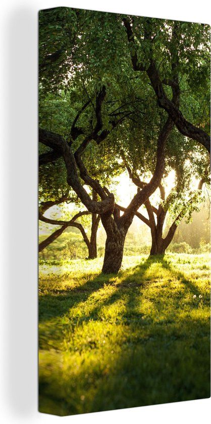 OneMillionCanvasses Canvas schilderij 80x160 cm - Bomen - Natuur - Multicolor - Modern