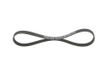 BOSCH Keilrippenriemen 1987946021