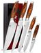 Couteau de cuisine en acier inoxydable allemand - Set de 5 pièces - Manche en bois de Pakka