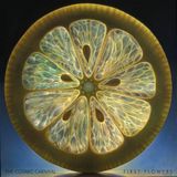 PIAS Nederland Cosmic Carnival First Flowers (CD)