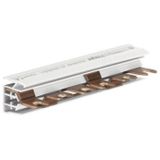Hager KDN363M KDN363M Phase busbar 105 mm 1 stuk(s) Piece