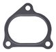 SEAL, GASCHAAM