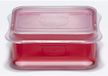 Prym Mini Box M Rood Transparant