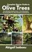 Complete Independently Published Complete Starter Guide to Olive Trees