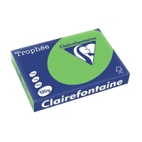 Clairefontaine gekleurd papier grasgroen 120 grams A4 (250 vel)