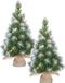 Mica Decorations Edelman Bv Kunst kerstboom/kunstboom in jute zak met verlichting en sneeuw 60 cm - 2x stuks - Miniboompjes/kerstboompjes