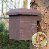 CJ Wildlife Nestkast voor Hazelmuis – Nestkastje – Hout (FSC® 100%) WoodStone Bruin – Ovale Ingang 41x16 mm – Nestkast voor Bos en Heggen
