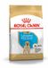 Royal Canin Labrador Retriever Puppy - Hondenvoer - 3 kg
