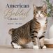 American Bobtail Calendar 2027: 15-Month Featuring Beautiful Cat Photography | January 2027 - March 2028